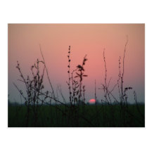 atardecer 025 vykort