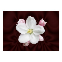 ATC för Apple blommar~
