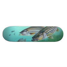 Atlanten görad randig bas- fiskMorone Saxatilis Skateboard