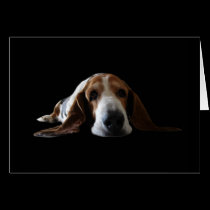 Att ljuga för Bassethund besegrar kort
