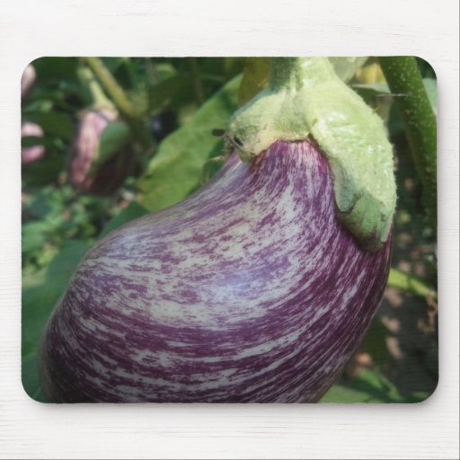 AubergineVeggie Musmatta