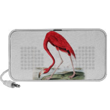 Audubons röda Flamingo iPod Högtalare
