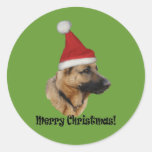 Aufkleber Weihnachten "Schäferhund"