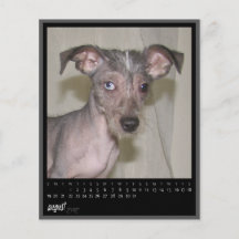 august kalender 2012 flygblad designs