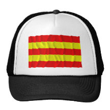 Aust-Agder som vinkar flagga Baseball Hat