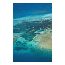 Australien Queensland, norr kusten, rösen Konstfoto