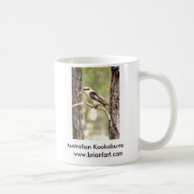 Australiensiska Kookaburra Kaffe Koppar