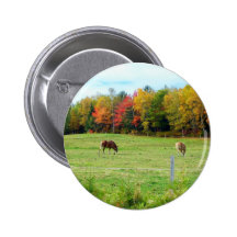 Autumn_In_Maine_13 Knappar