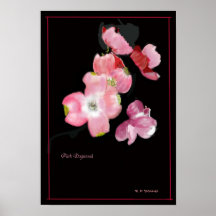 avbildar rosa dogwood för hand plockade affischer