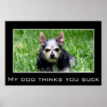 Även vet min hund att du suger posters