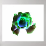 Avund Posters