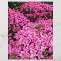 Azaleas Full Färg Flygblad