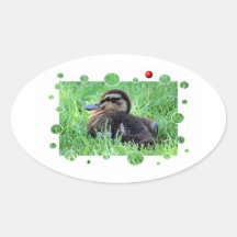 Baby Duckie Klistermärke