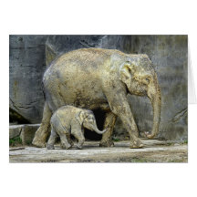 Baby & mamma för elefant nyfödd kort