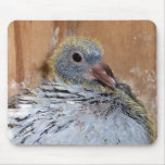 Baby som returnerar duvan Mousepad Musmatta