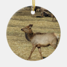 Babyälg Jul Dekorationer