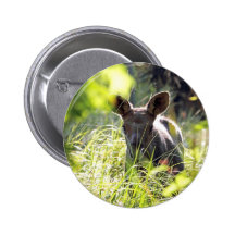 Babyälg Pins