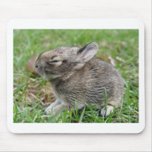 babybun musmatta