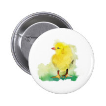 Babychick Knappar Med Nål
