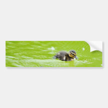 BABYEN för DUCKLINGS Ducklings299 DUCKAR SIMNINGDA Bildekaler