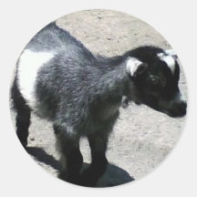 Babyget Klistermärken