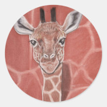 Babygiraff Klistermärken