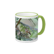 BabyHummingbird som ut klibbar dess tunga Muggar