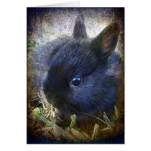 BabyLionhead kanin Hälsnings Kort