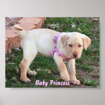 BabyPrincess Affischer