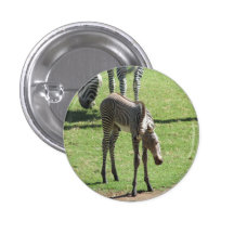 Babysebra Knapp Med Nål