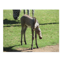 Babysebravykort