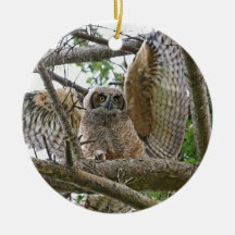 Babyugglabild Julgranskulor