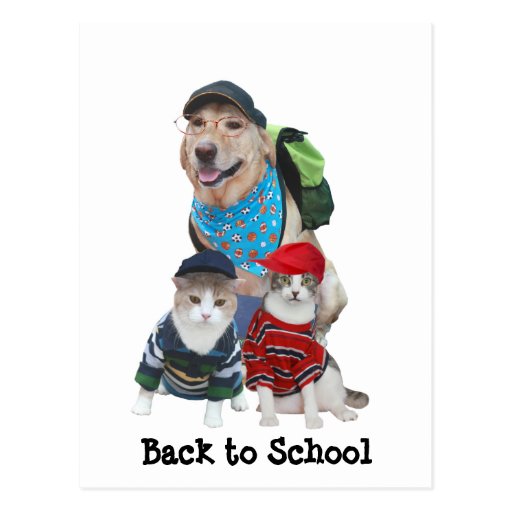Back to school vykort