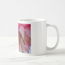 Bakbelyst skönhet kaffe kopp
