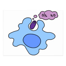 BakteriePhagocytosis Vykort