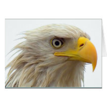 Baldeagleupclose Kort