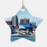 Baltimore horisont och hamn julgranskula