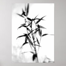 Bambu Sillouette Posters