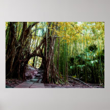 BanyanPortal Print