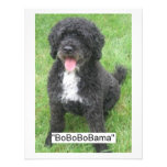 Barack Obama portugisisk vattenhund Kort För Inbjudningar