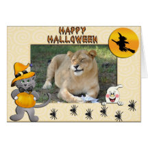 Barbary lejon Halloween kortfinare