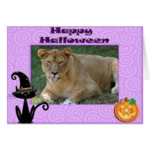 Barbary lejon Halloween kortfinare
