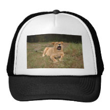 Barbary Lion-nap-001 Trucker Keps