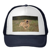 Barbary Lion-nap-002 Mesh Kepsar