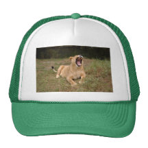Barbary Lion-nap-003 Mesh Kepsar