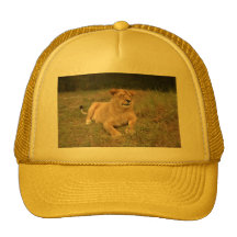 Barbary Lion-nap-012 Mesh Kepsar
