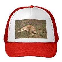 Barbary Lion-nap-018 Mesh Kepsar