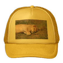Barbary Lion-nap-023 Mesh Kepsar
