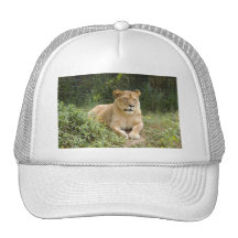 Barbary Lion-set-1-007 Mesh Kepsar