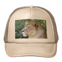 Barbary Lion-set-1-008 Baseball Hat